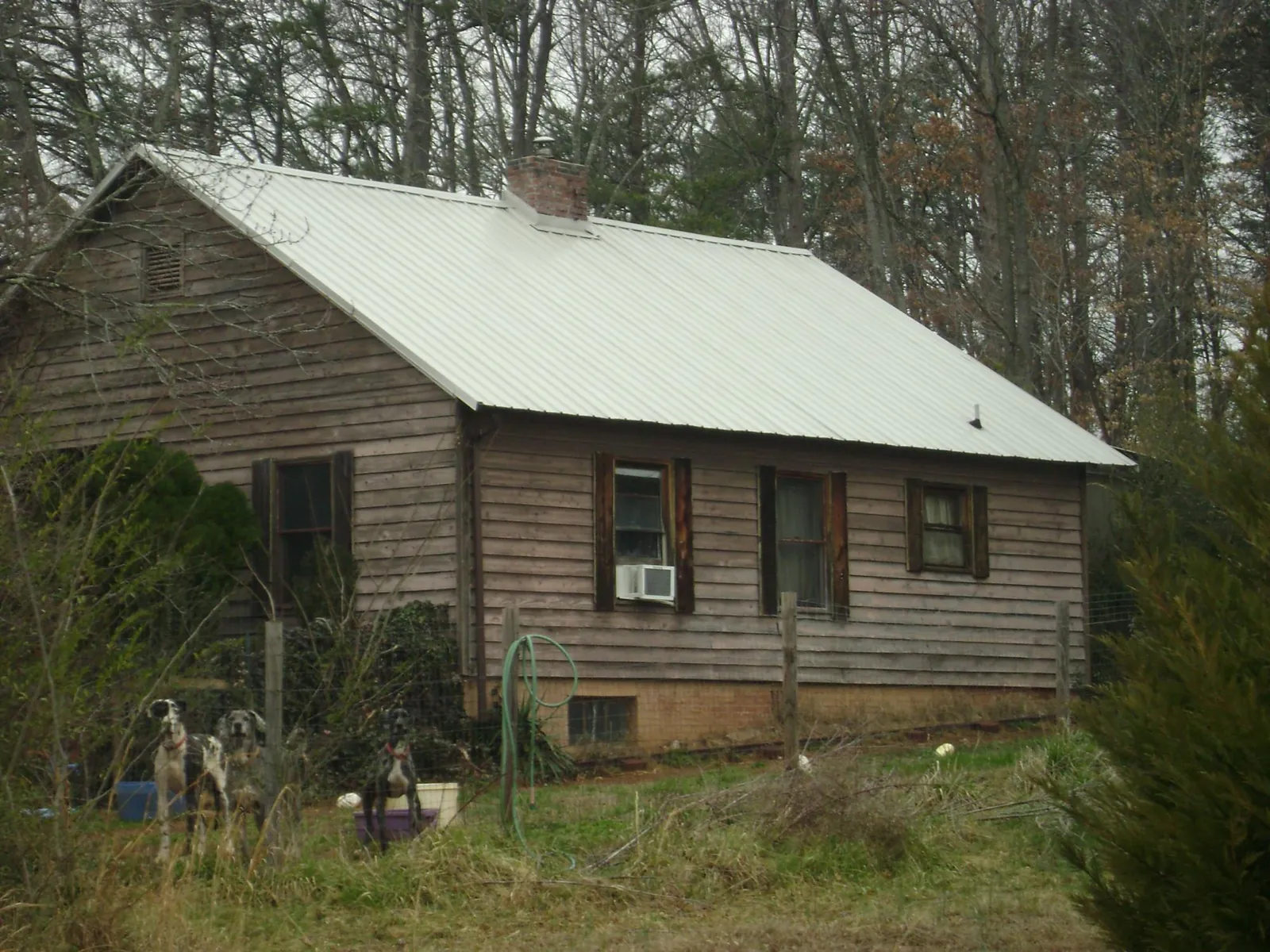 White metal roof on an old wood sided farmhouse, from a Metal Roof Installation job in Williams